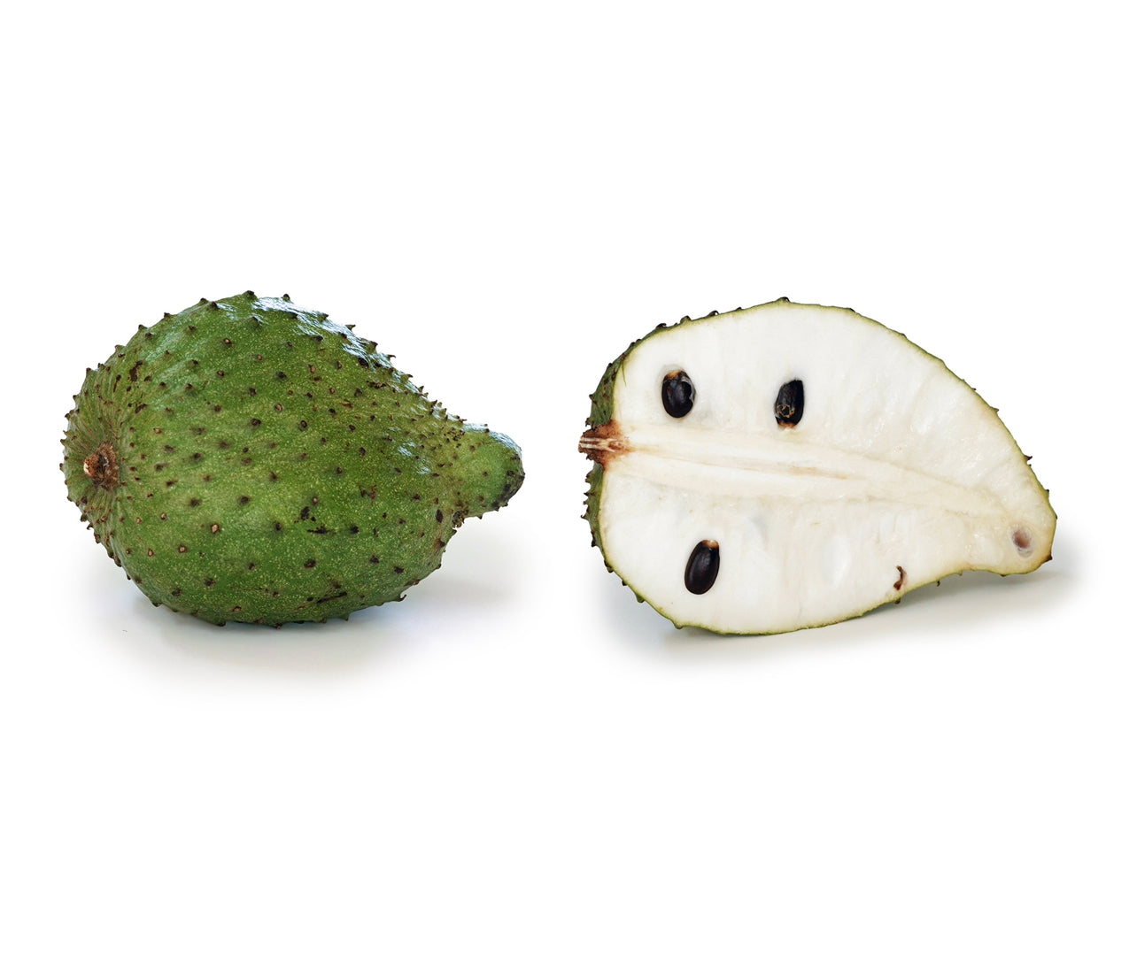 SOURSOP GRIFFON MOSS